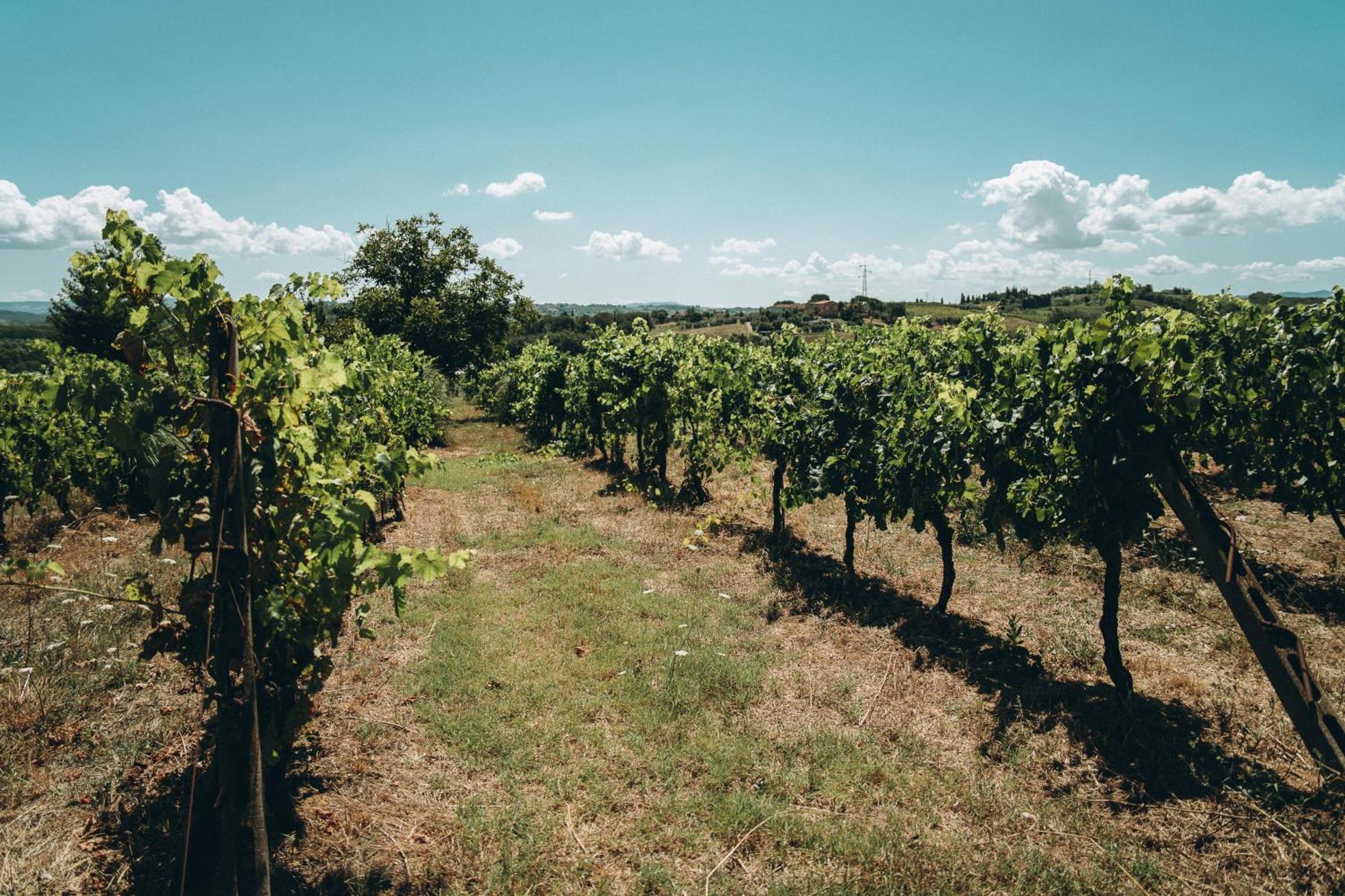 Agriturismo Terra Di Dio Toscanizzazione Villa Capannoli Exteriör bild